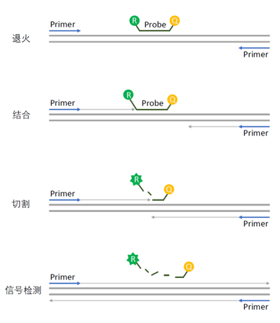 微信图片_20230407131845.png