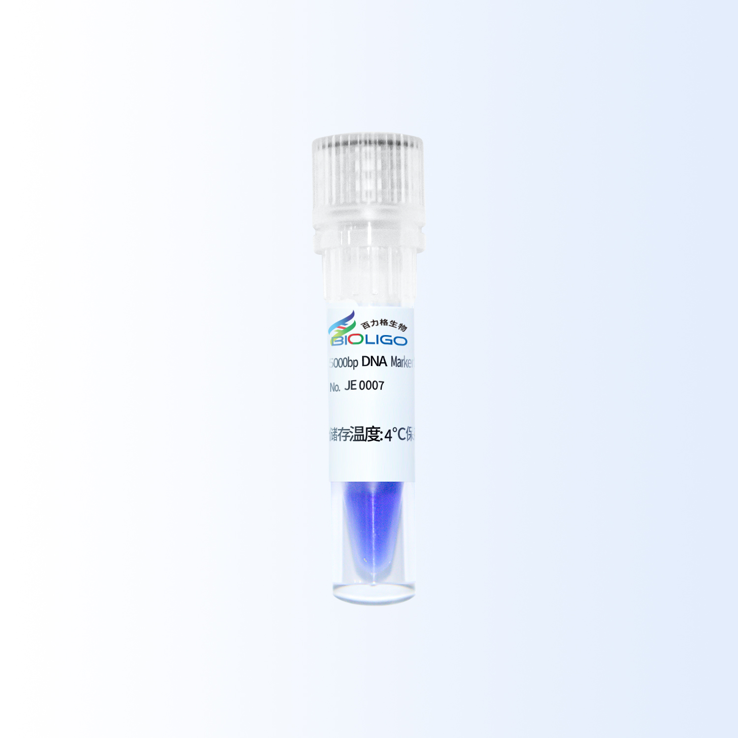 5000bp DNA Marker